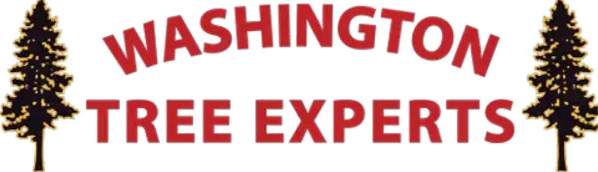 WATreeExperts-logo